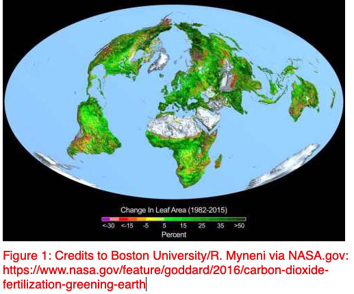 toename van blad-oppervlakte door CO2-toename