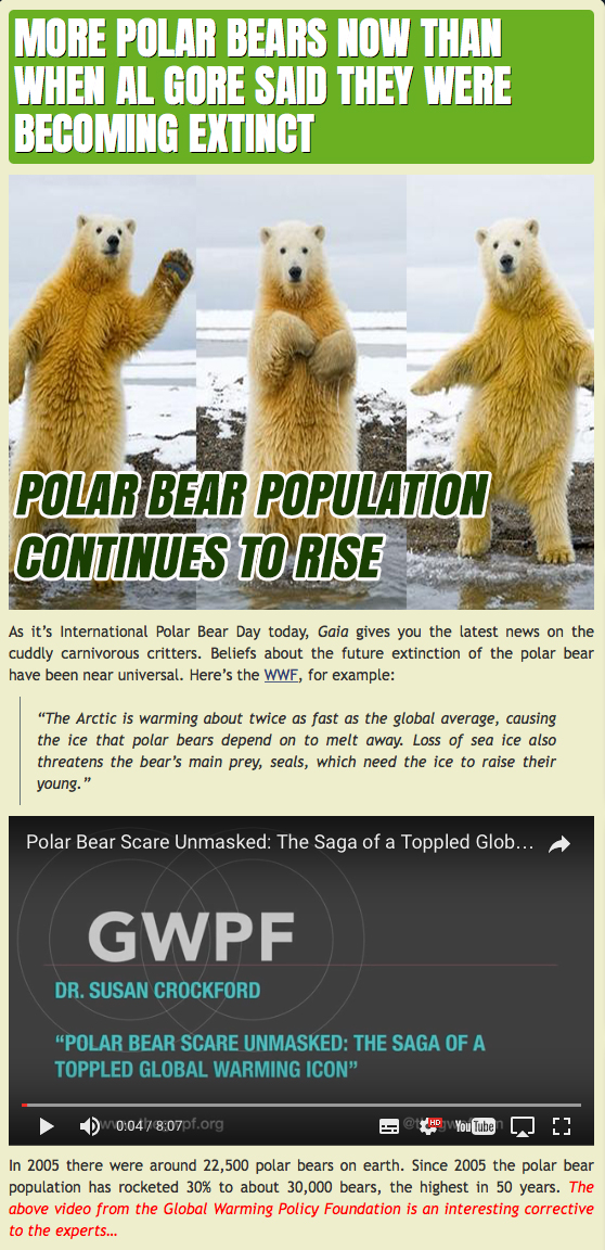 more-polar-bears-now
